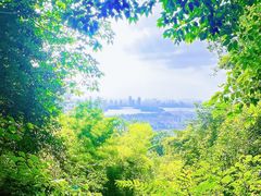 -紫金山天文台