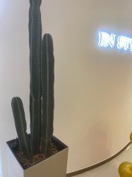 -In Style Hair Salon