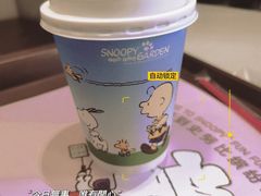 -史努比缤纷世界