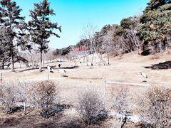 -沈阳森林动物园