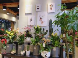 -花落谁家婚礼策划(永安街店)