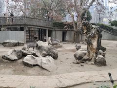 -成都动物园