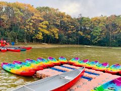 -上海海湾国家森林公园