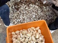 -贵州笋子鸡(米市街店)