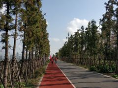 -上海长兴岛郊野公园