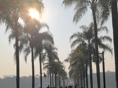 -南宁南湖公园