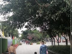 -安仁古镇