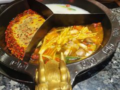 -蜀大侠火锅(森兰花园城店)