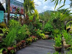 -自然餐厅(Phuket)