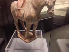 -隋唐大运河文化博物馆