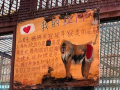 -昆明动物园