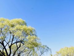 -颐和园