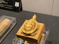 -深圳博物馆(古代艺术馆)