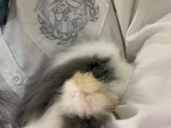-藦茜花园宠物主题亲子互动体验馆(国顺东路店)