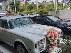 -新加坡瑞士史丹福酒店