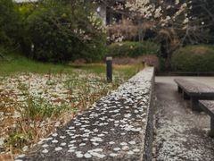 -东京国立博物馆