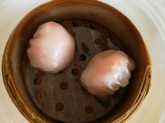 -自助山(合和中心商场店)