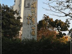 -深圳湾公园(南山区)