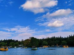 -上海共青森林公园