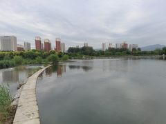 -永定河休闲森林公园