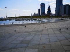 -东港音乐喷泉广场