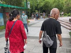 -晓港公园