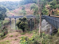-阳台山森林公园