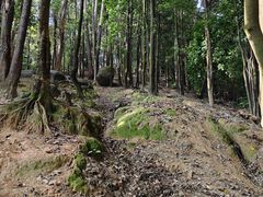 -火炉山森林公园