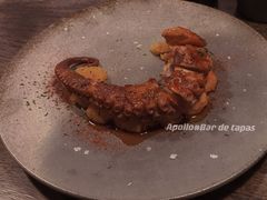 -Apollo·西班牙小酒馆(安福路店)