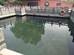 -百脉泉景区