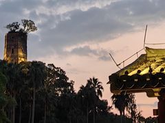 -江心屿景区