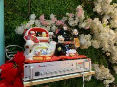-猫小院猫主题咖啡厅(北锣店)