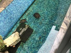 -莹珠阁·私房菜