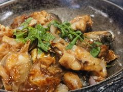 -石岐乳鸽村(南海第三分店)