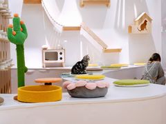 -COLOR PETS 撸猫馆·购猫·猫咖(长风大悦城店)