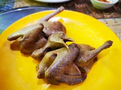 -石岐乳鸽村(南海第三分店)