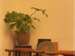 -花家怡园(四合院总店)