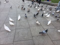 -大连人民广场