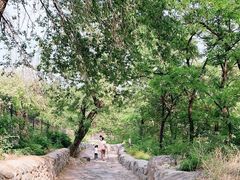 -阳台山自然风景区