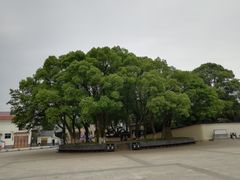 -西园北里-李立故居