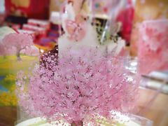-百新书局(尚悦湾店)
