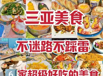 美食挨家打卡️三亚美食合集