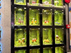 -野·大山里野生菌石锅土鸡(益田假日店)