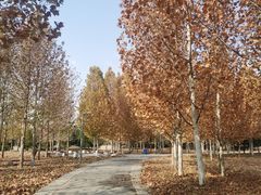 -东郊湿地公园