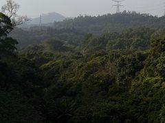 -深圳仙湖植物园
