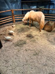 -Zoolung Zoolung动物主题公园(海信广场店)