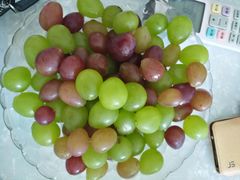 -马陆小张葡萄园农家乐