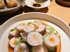 -OTIUM • 柴屿麦(亮马桥店)