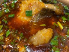 -肖肖酸萝卜鱼火锅(总店)