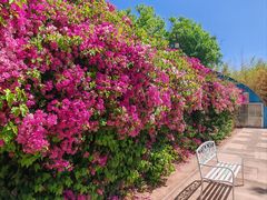 -丽泽山庄·生态怀柔菜·虹鳟鱼(红螺寺店)